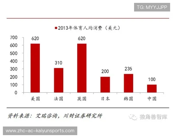 政府与社会资本合作建设体育场馆模式持续推进，政府与社会结合型体育体制
