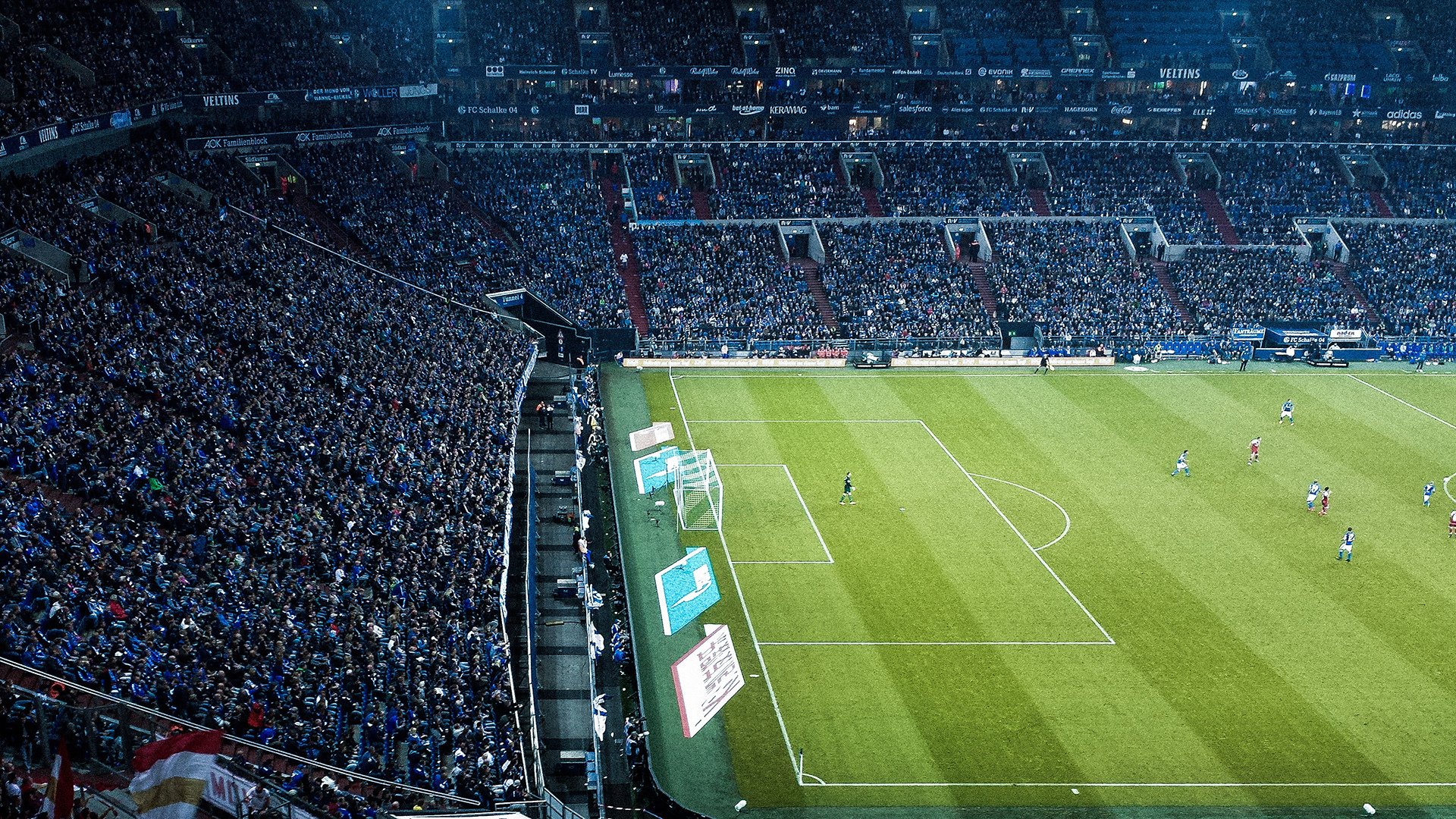 日本马术协会开展马匹福利宣传活动，提升公众意识。，日本马术场地